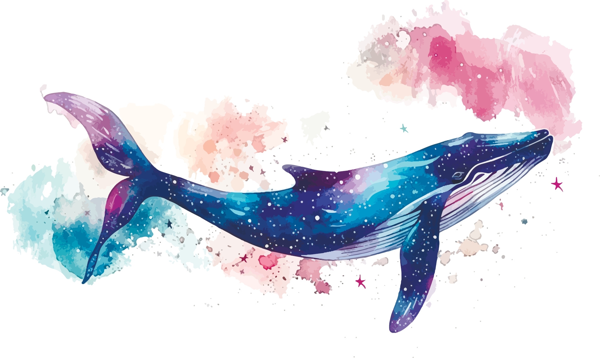 Aquarell eines graublauen Buckelwals, der von links nach rechts schwimmt; der Hintergrund ist weiß mit einigen rosa und blauen Flecken